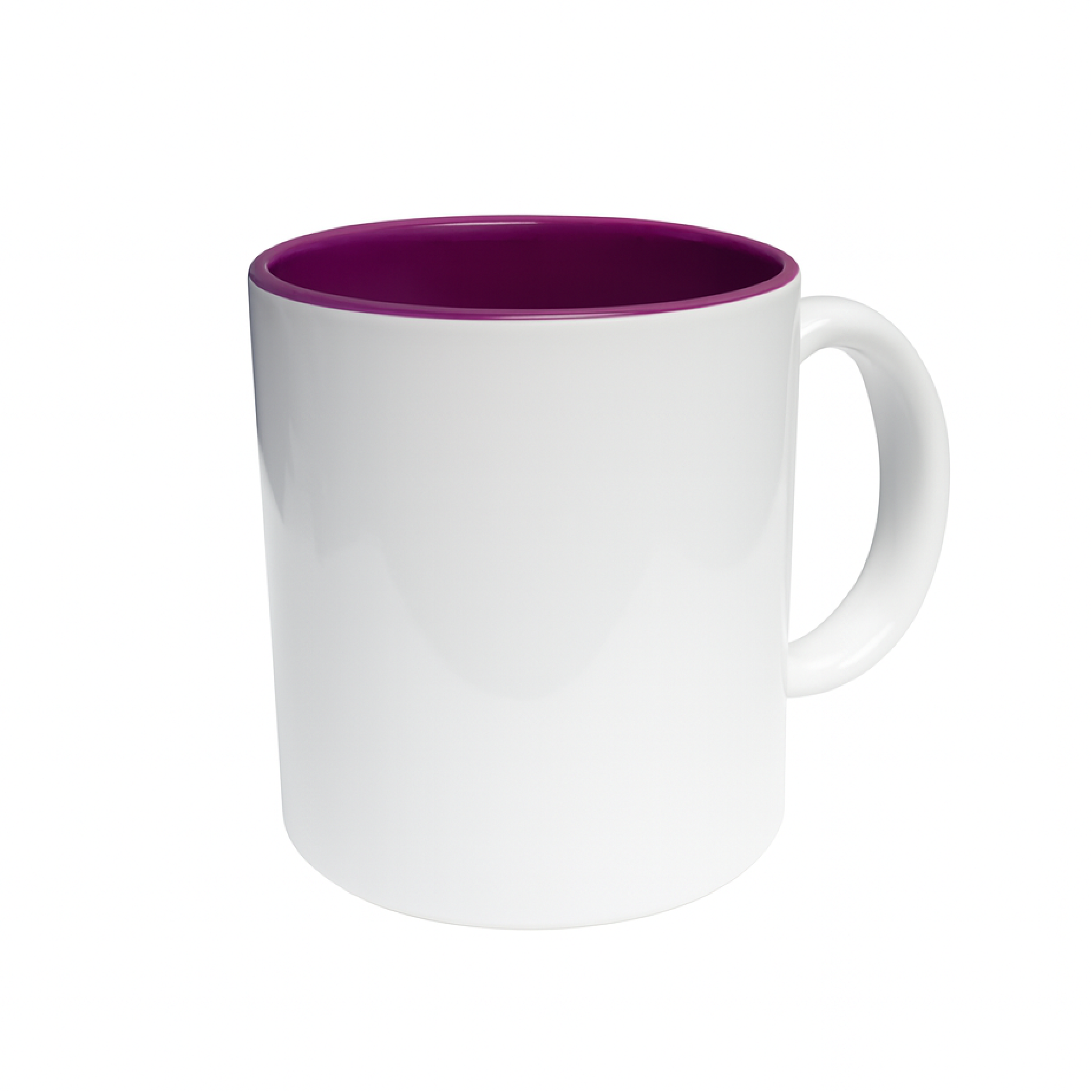 JARRO BICOLOR FONDO DE COLOR Y ASA BLANCA