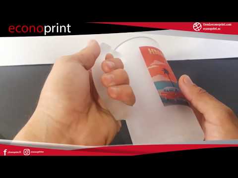 JARRO CERVECERO DE VIDRIO FROZEN 16 OZ