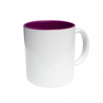 JARRO BICOLOR FONDO DE COLOR Y ASA BLANCA