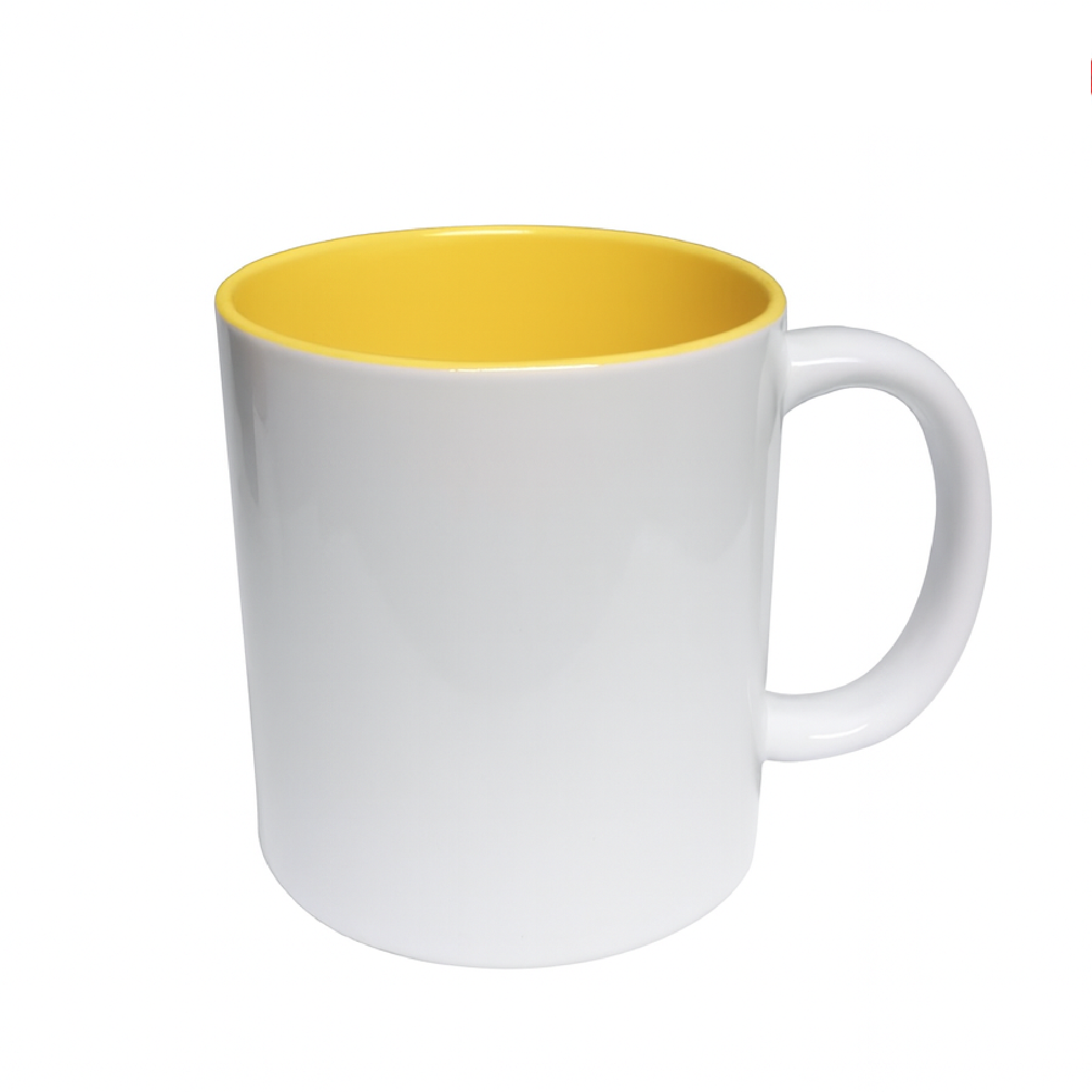 JARRO BICOLOR FONDO DE COLOR Y ASA BLANCA