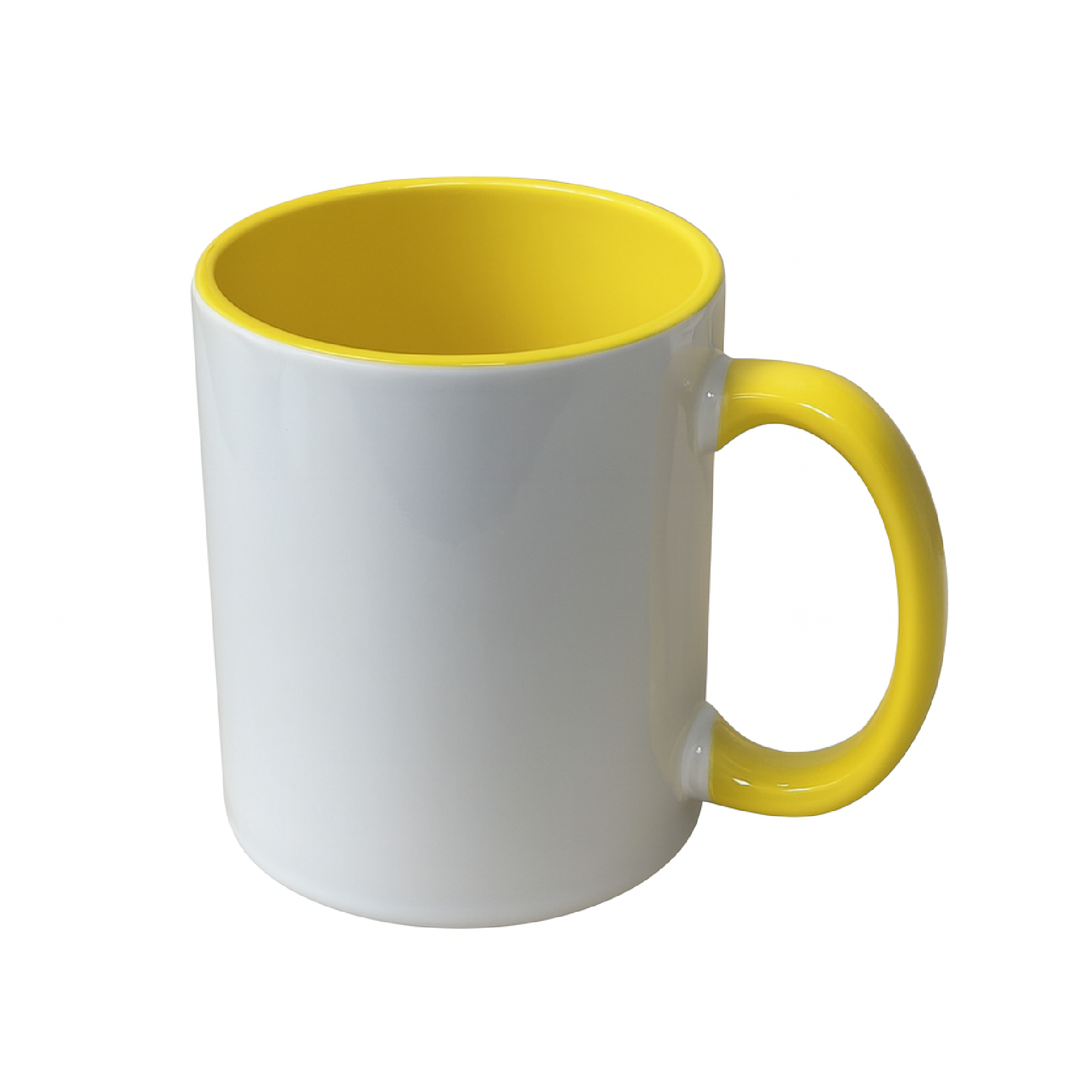 JARRO BICOLOR FONDO Y ASA DE COLOR